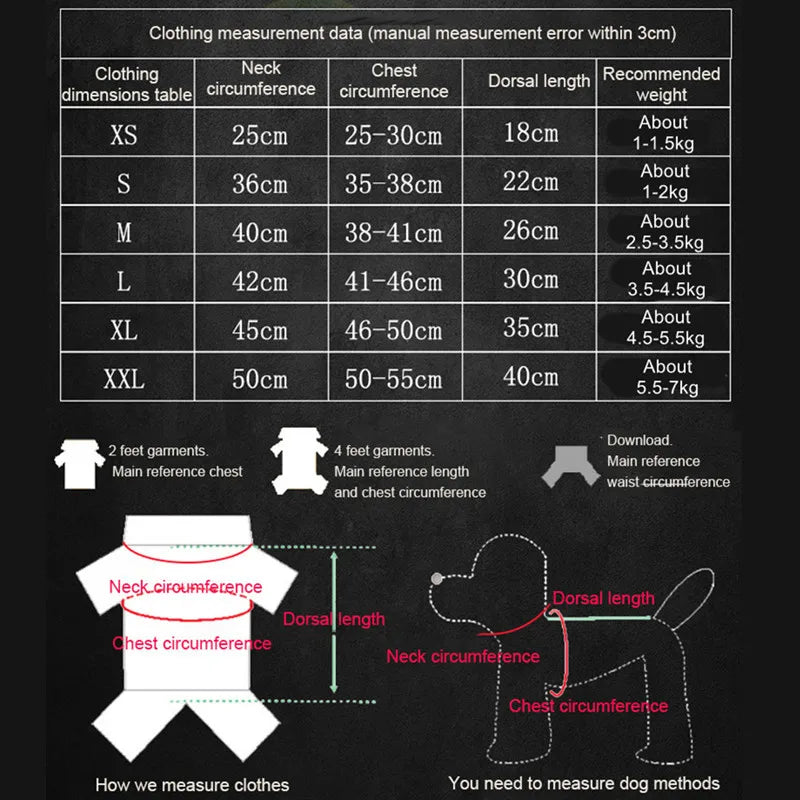 Waterproof And Fashionable PU Transparent Raincoat For Pets Small And Medium-Sized Dog Two-legged Dog New Cat Raincoat