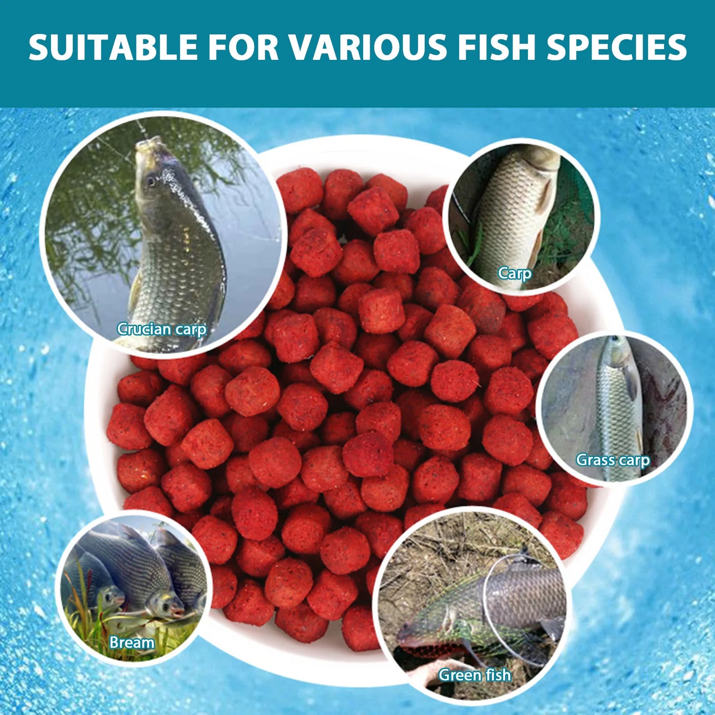 40g Fish Baits Attractants,Fresh Wet Granular Bait,High Protein Fish Attractant Concentrated Fish Bait,Fishing Accessories